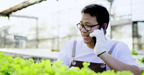 Young Asian farmer talking on mobile phone while checking  Stockbeeldmateriaal 172052060