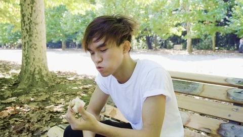Young Asian Man On Bench Eating Sandwich During Lunch Break Stock Footage 98482544