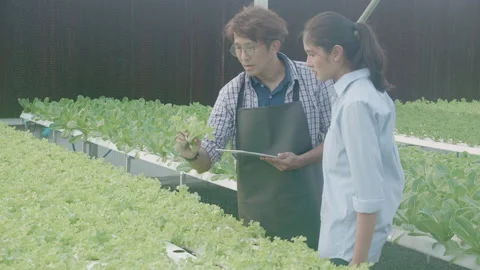 Young asian man holding tablet computer and picking vegetables for talking re Stock Footage 181535918