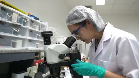 Young asian scientist looking through a microscope in a laboratory Stock Footage 196963849