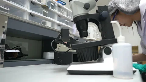 Young asian scientist looking through a microscope in a laboratory Stock Footage 196963919