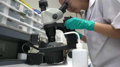 Young asian scientist looking through a microscope in a laboratory Stock Footage 196963962