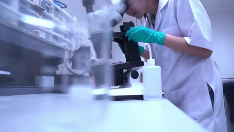 Young asian scientist looking through a microscope in a laboratory Stock Footage 196964229