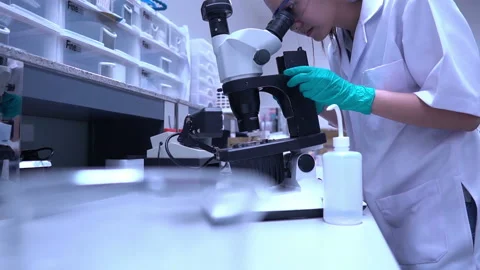 Young asian scientist looking through a microscope in a laboratory Stock Footage 196964497