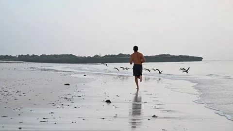 Young athletic guy runs barefoot on the beach near the water. Male runner doing Stock Footage 243857040