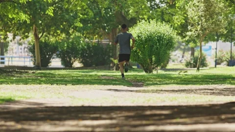 Young athletic man running in park during summer Stock Footage 317616989