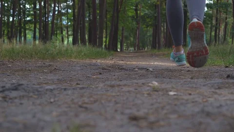 Young attractive brunette runs through the forest. Morning run through the park Stock Footage