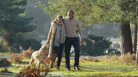 Young attractive couple and their dog walking through a sunlit forest Stock Footage