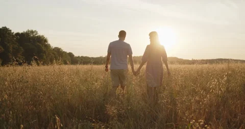 Young attractive couple having a date at sunset in a golden wheat field Stock Footage 237811984
