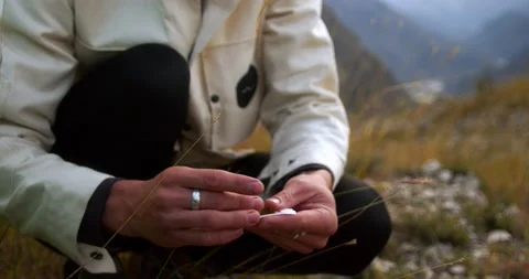 A young attractive man rolls a cigarette rolled from tobacco against the Stock Footage 239363655