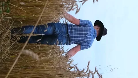 A young Australian farmer walks through his wheat field at late sunset. Vertical Stock Footage 250352726