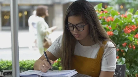 Young Author Writing Notes in Journal Stock-Footage 114708384