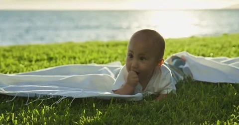 Young baby crawling for the first time Stock Footage 77231996