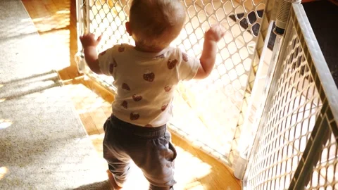 A Young Baby Pulls Herself Up and Stands on her Own and Celebrates Stock Footage 334900407
