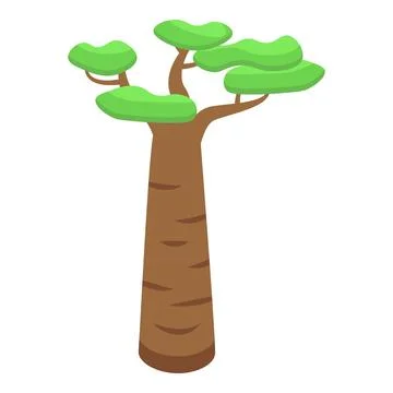 Young baobab tree icon isometric vector. African leaf Stock Illustration