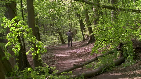Young Bearded Man Exercising with Resistance Bands in Lush Forest Stock Footage 130762647
