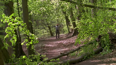 Young Bearded Man Exercising with Resistance Bands in Lush Forest Stock Footage 130783012
