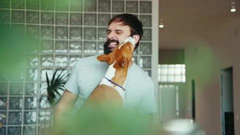 Young bearded man hugging and playing with his cute friend brown basenji pure Stock-Footage 137721406