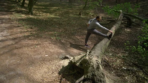 Young Bearded Man Stretching on a Fallen Tree Stock Footage 130762920