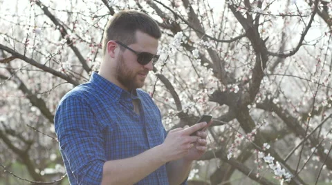 Young bearded man typing his smartphone messenger in bloomed trees park Stock Footage 62448374