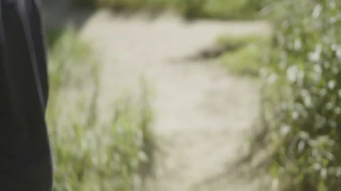 Young Bearded Man Walking and Carrying a Double bass Stock Footage 81511284