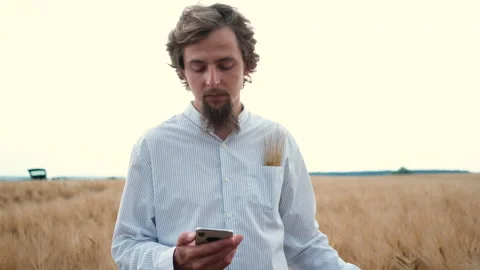A young bearded man walks on a wheat field and records data on the phone Stock Footage 135355310
