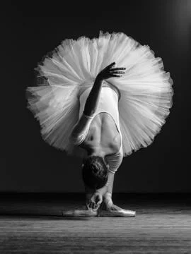 Young beautiful ballerina is posing in studio Stock Photos
