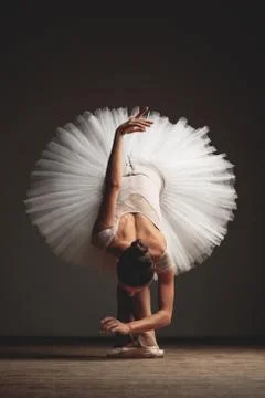 Young beautiful ballerina is posing in studio Stock-Fotos