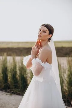 Young beautiful bride on her wedding Stock Photos