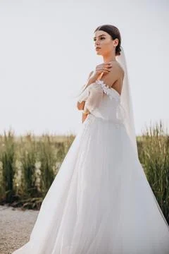 Young beautiful bride on her wedding Stock Photos