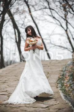 Young beautiful bride Stock Photos