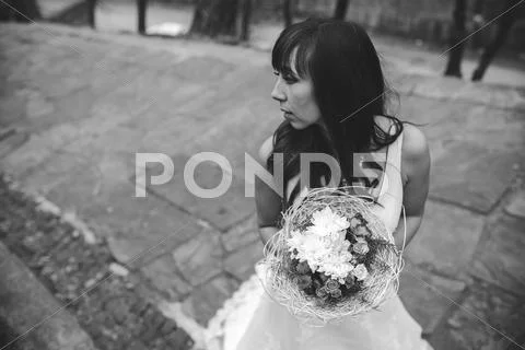 Young beautiful bride Stock Photos