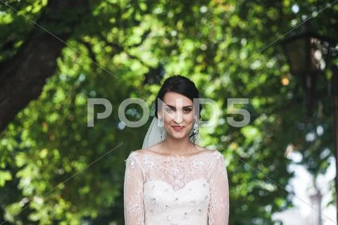 Young beautiful bride Stock Photos