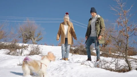 Young beautiful couple having fun with small active dog on a snowy hill Stock Footage 125279218