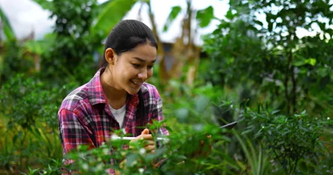 Young beautiful farmer use tablet and digital pen during checking  Stockbeeldmateriaal 228192848