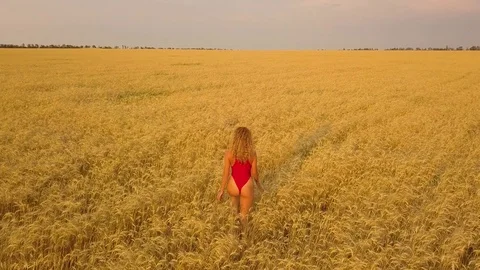 Young beautiful girl in red walking in field. Aerial view. 4K Stock Footage