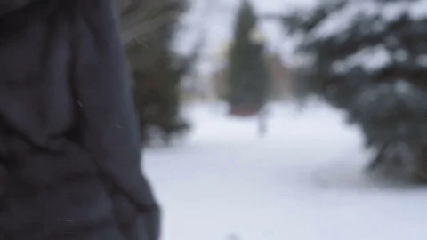 Young beautiful model posing over winter forest. Stylish fashion portrait Stock Footage 69994869