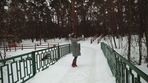 Young beautiful model posing over winter forest. Stylish fashion portrait. wood Stock Footage 73668865
