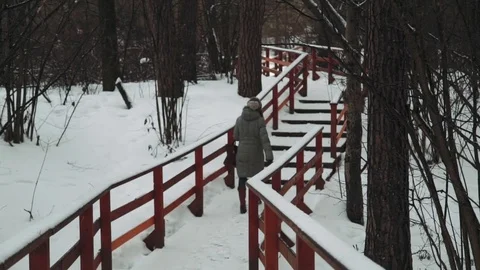 Young beautiful model posing over winter forest. Stylish fashion portrait. wood Stock Footage 73670412