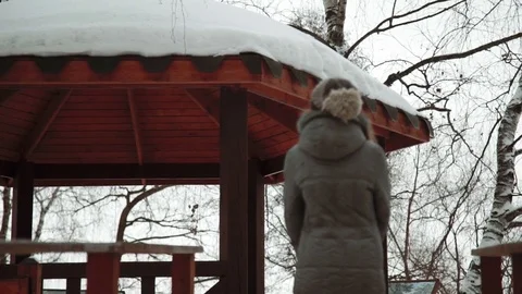Young beautiful model posing over winter forest. Stylish fashion portrait. From Stock Footage 73670661