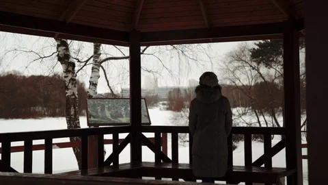 Young beautiful model posing over winter forest. Stylish fashion portrait. From Stock Footage 73671255