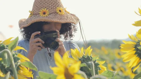 Young beautiful woman using camera to take sunflowers photo. Stock Footage 168073436