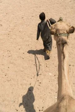 A young Bedouin boy with his camel during a trek in the desert Foto stock