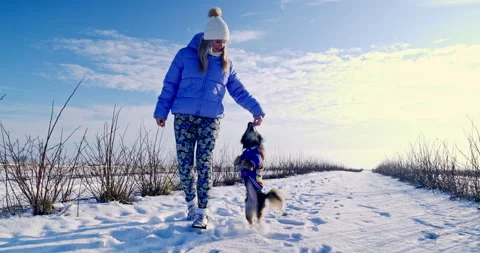A young behaviorist is teaching her dog to perform new tricks on command. Stock Footage 253497411
