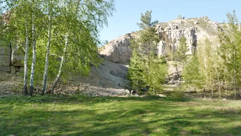 A young birch tree at the foot of the mountain. Stock Footage 192003286