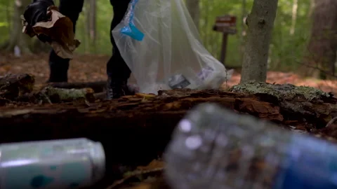 Young Black Environmentalist Picks Up Recyclables To Clean Forest Video stock 142019587