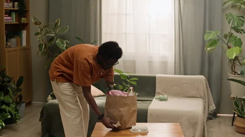 Young Black Man Bringing New Houseplants for Green Living Room Stock Footage 335082240