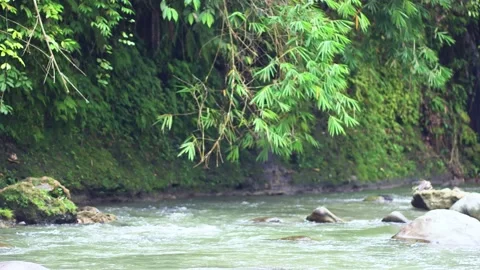 A Young Black Man Presenting what Nature Offer at a River Stock Footage 208922408