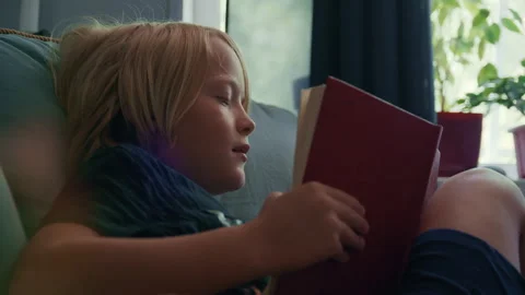 Young Blond Boy Reading Book at Home Stock Footage 344690573