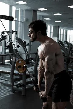 Young Bodybuilder Doing Exercise For Triceps Stock Photos